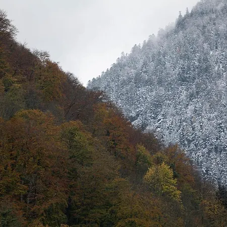 Mitoyen Confort * Cauterets