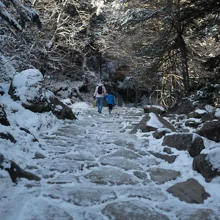 Mitoyen Confort Avec Prestations Hôtelières Cauterets