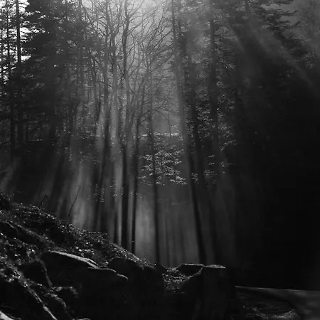 Mitoyen Confort Cauterets